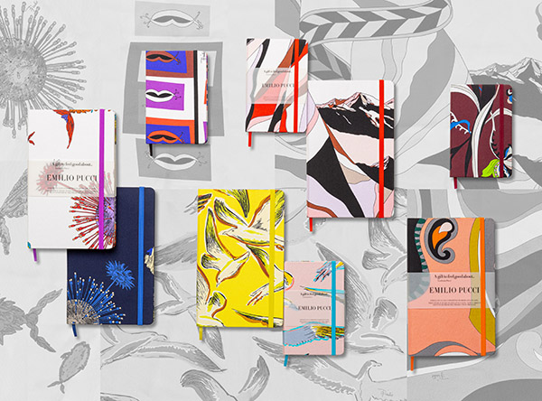 導入事例:エミリオプッチ